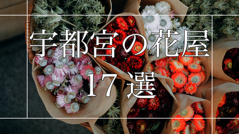 宇都宮の花屋17選!大切な人へのセンスがいい贈り物をしよう
