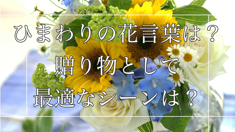 ひまわりの花言葉は?贈り物としてぴったりな色や本数をお教えします