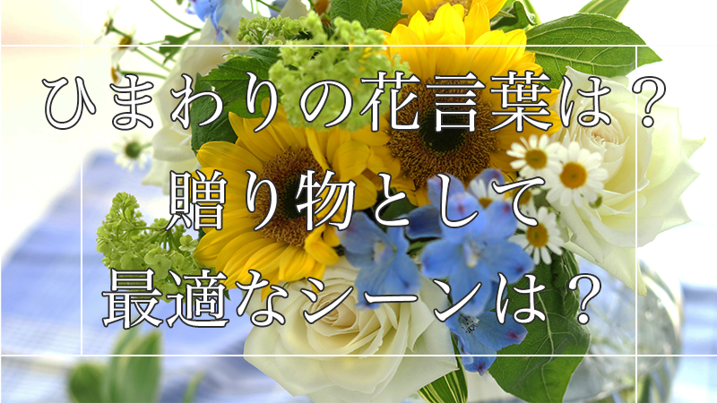 ひまわりの花言葉は？贈り物としてぴったりな色や本数をお教えします